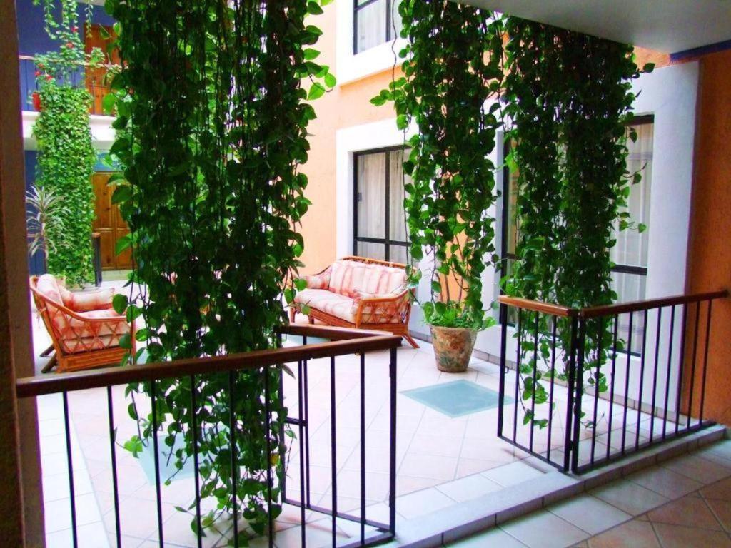Hotel Oaxaca Dorado מראה חיצוני תמונה